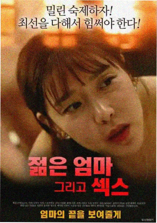 电波少女不睡觉封面